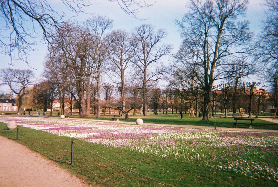 photo by barbara mahler