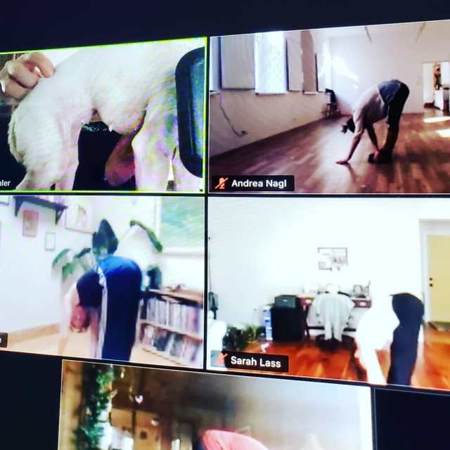 92243605_10158097911959720_2738969548819529728_o