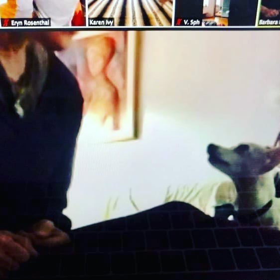 92693265_10158103383889720_5741570396495282176_n